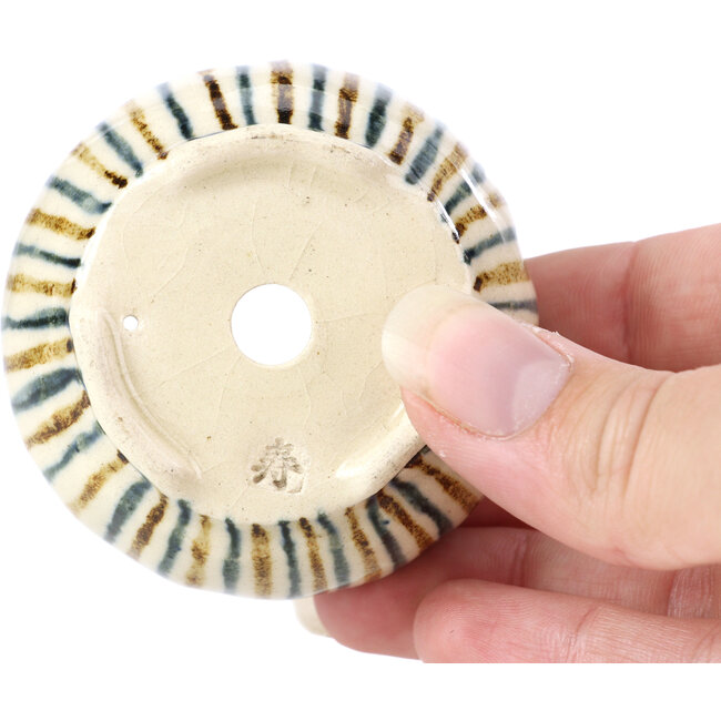 Ronde beige bonsaipot van Bonsai - 60 x 60 x 30 mm