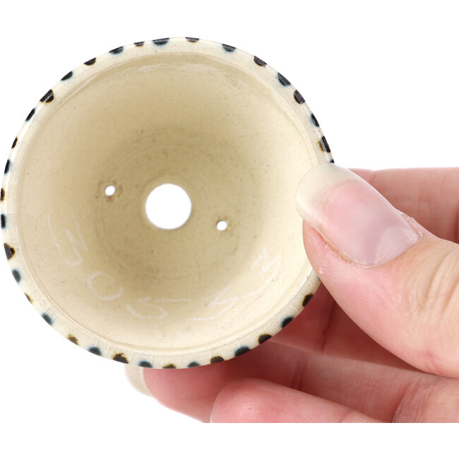 Pot à bonsaï rond beige par Bonsai - 60 x 60 x 30 mm