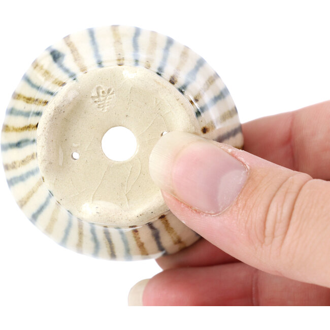 Pot à bonsaï rond beige par Bonsai - 60 x 60 x 30 mm