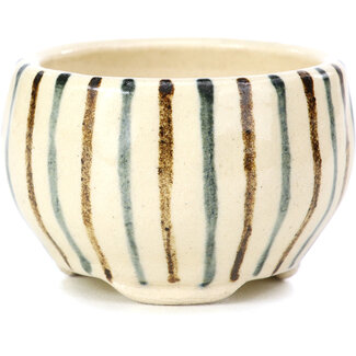 Bonsai Maceta para bonsái redonda beige de 60 mm de Bonsai, Japón