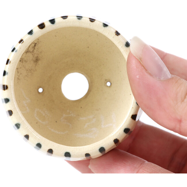 Ronde beige bonsaipot van Bonsai - 60 x 60 x 30 mm