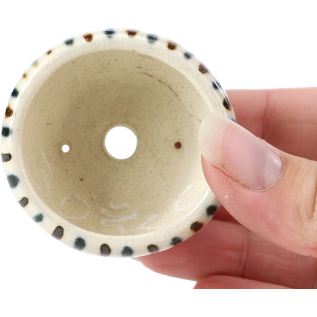 Pot à bonsaï rond beige par Bonsai - 60 x 60 x 30 mm