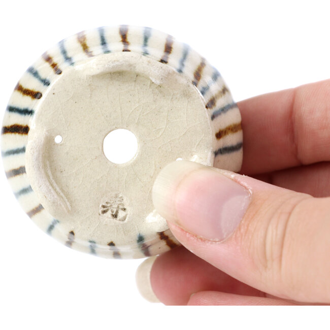 Pot à bonsaï rond beige par Bonsai - 60 x 60 x 30 mm