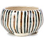 Pot à bonsaï rond beige par Bonsai - 55 x 55 x 30 mm