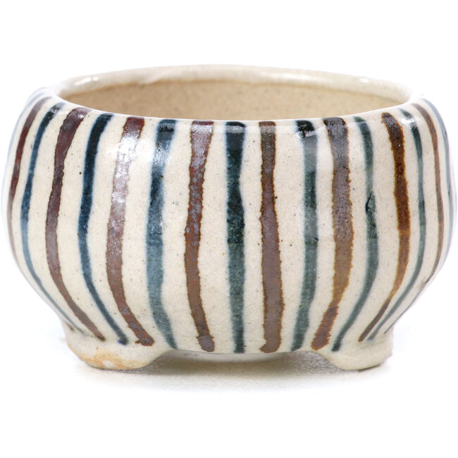 Maceta de bonsái redonda beige de Bonsai - 55 x 55 x 30 mm