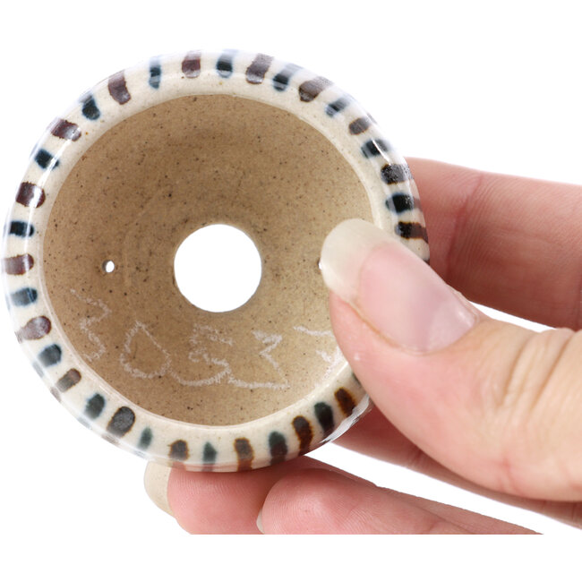 Pot à bonsaï rond beige par Bonsai - 55 x 55 x 30 mm