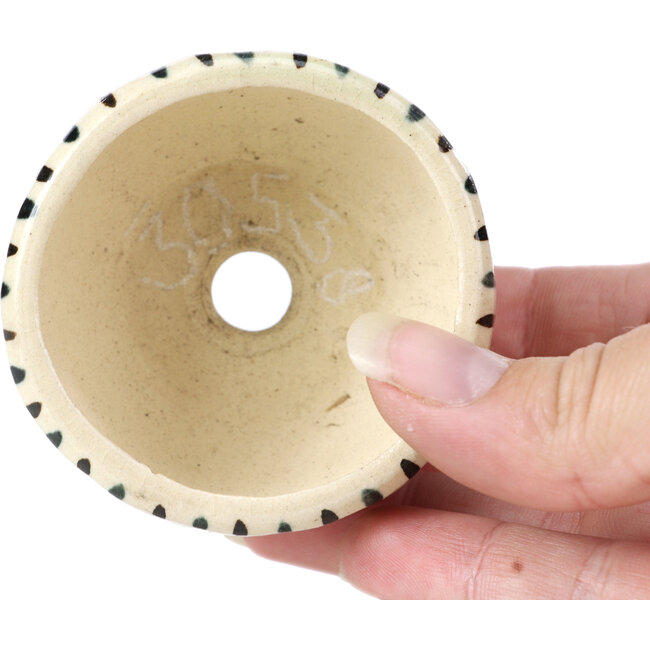 Runde beige Bonsaischale von Bonsai - 60 x 60 x 35 mm