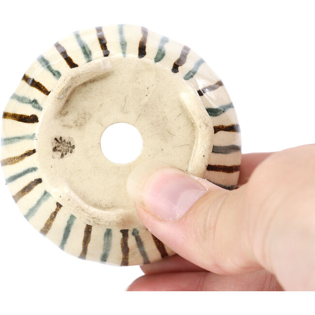 Vaso per bonsai rotondo beige di Bonsai - 60 x 60 x 35 mm