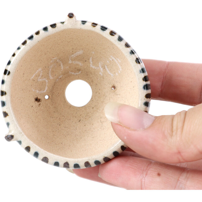 Runde beige Bonsaischale von Bonsai - 60 x 60 x 35 mm