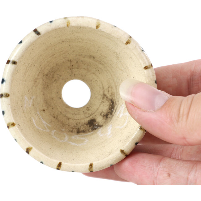 Round beige bonsai pot by Bonsai - 60 x 60 x 35 mm