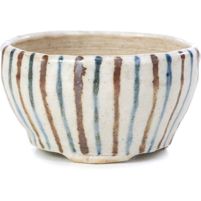 Maceta de bonsái redonda beige de Bonsai - 60 x 60 x 35 mm