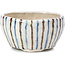 Round beige bonsai pot by Bonsai - 60 x 60 x 35 mm