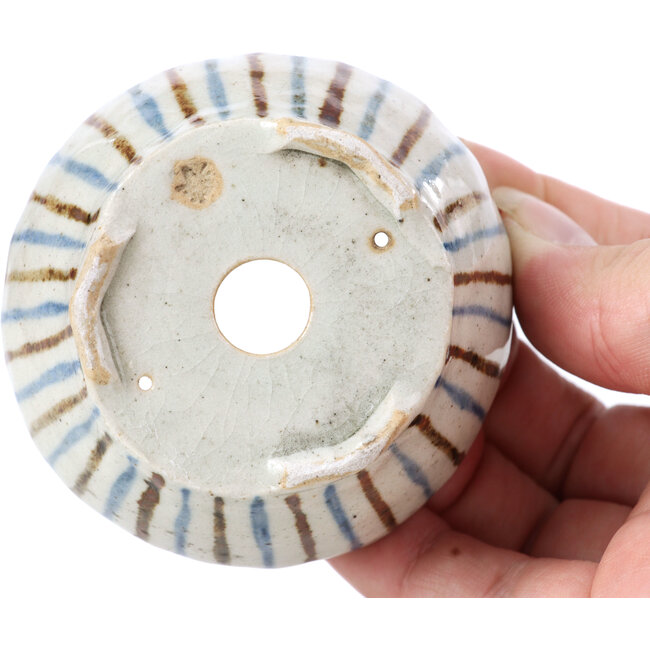 Runde beige Bonsaischale von Bonsai - 60 x 60 x 35 mm