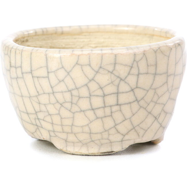 Maceta de bonsái redonda beige de Bonsai - 55 x 55 x 32 mm