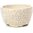 Vaso per bonsai rotondo beige di Bonsai - 55 x 55 x 32 mm