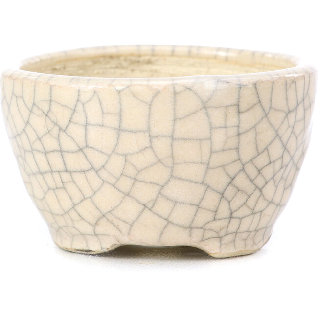 Runde beige Bonsaischale von Bonsai - 55 x 55 x 32 mm