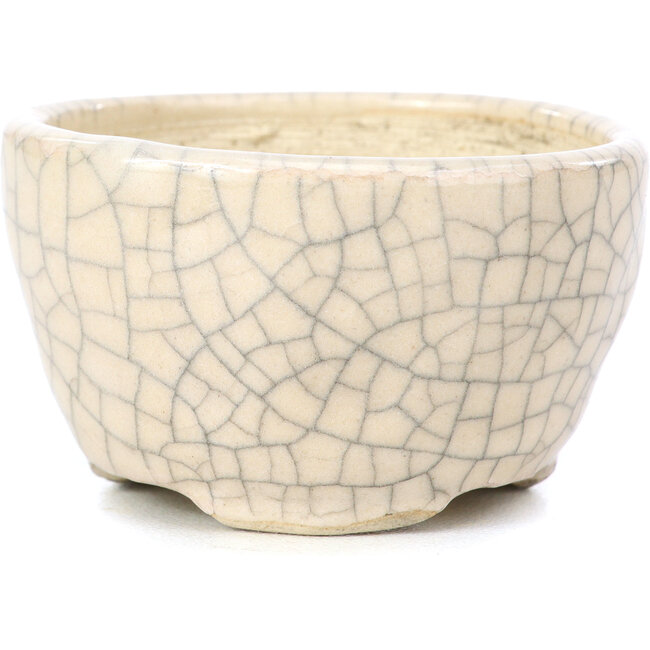 Vaso per bonsai rotondo beige di Bonsai - 55 x 55 x 32 mm