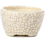 Pot à bonsaï rond beige par Bonsai - 55 x 55 x 32 mm