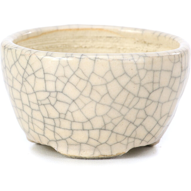 Pot à bonsaï rond beige par Bonsai - 55 x 55 x 32 mm