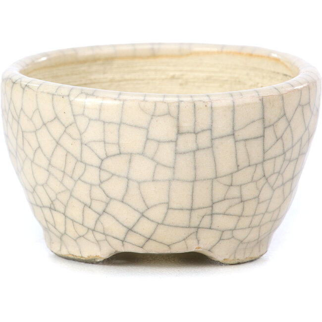 Vaso per bonsai rotondo beige di Bonsai - 55 x 55 x 32 mm