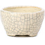 Pot à bonsaï rond beige par Bonsai - 55 x 55 x 32 mm