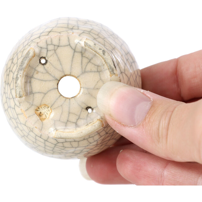 Vaso per bonsai rotondo beige di Bonsai - 55 x 55 x 32 mm