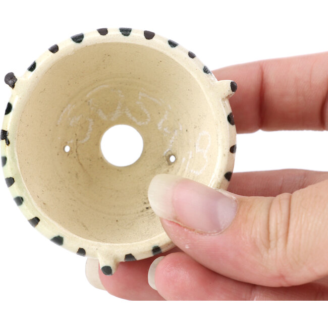 Pot à bonsaï rond beige par Bonsai - 55 x 55 x 33 mm