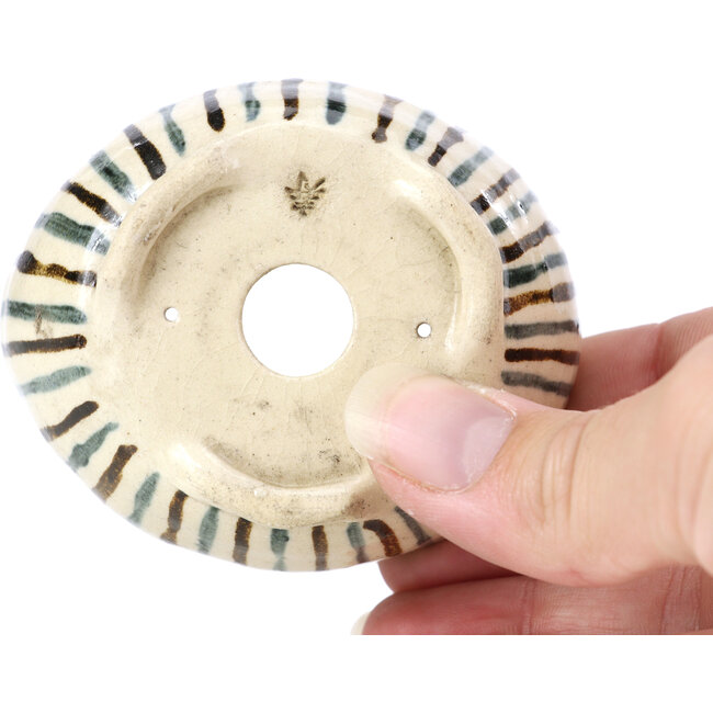 Vaso per bonsai rotondo beige di Bonsai - 65 x 65 x 35 mm