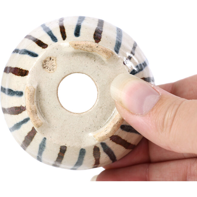 Maceta de bonsái redonda beige de Bonsai - 65 x 65 x 35 mm