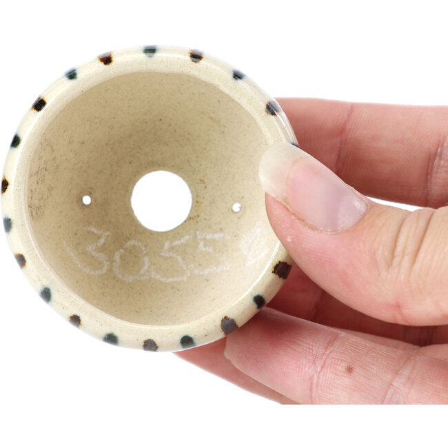 Vaso per bonsai rotondo beige di Bonsai - 55 x 55 x 33 mm