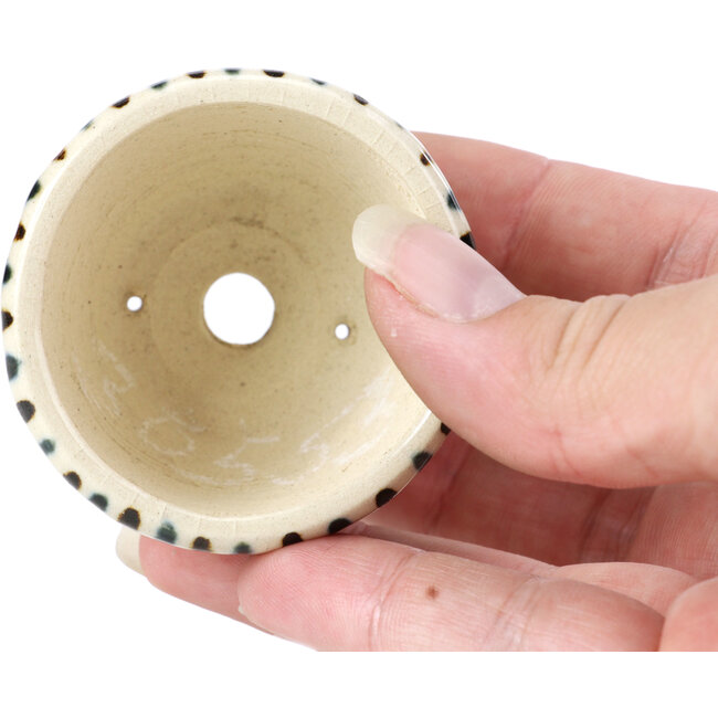 Vaso per bonsai rotondo beige di Bonsai - 55 x 55 x 33 mm