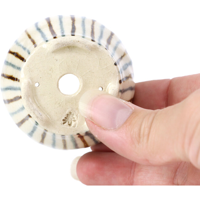 Round beige bonsai pot by Bonsai - 55 x 55 x 33 mm