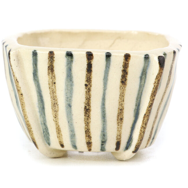 Maceta de bonsái cuadrada beige de Bonsai - 55 x 55 x 35 mm