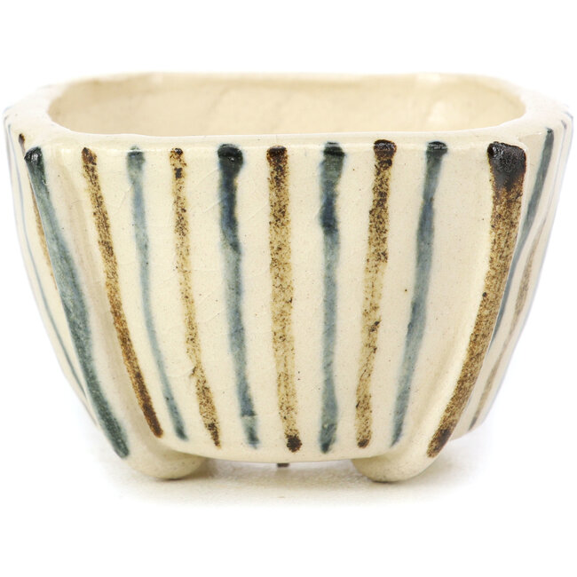 Vaso per bonsai quadrato beige di Bonsai - 55 x 55 x 35 mm