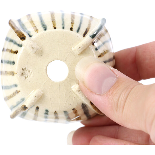 Maceta de bonsái cuadrada beige de Bonsai - 55 x 55 x 35 mm