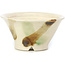 Pot à bonsaï rond beige par Bonsai - 85 x 85 x 45 mm