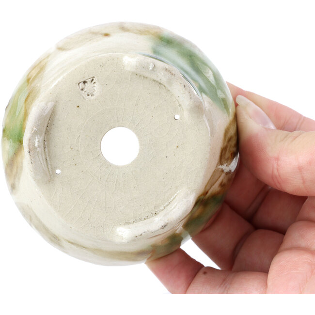 Vaso per bonsai rotondo beige di Bonsai - 85 x 85 x 45 mm