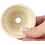 Maceta de bonsái redonda beige de Bonsai - 70 x 70 x 35 mm