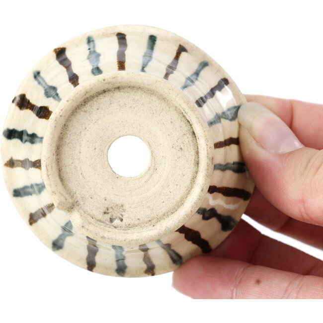 Maceta de bonsái redonda beige de Bonsai - 70 x 70 x 35 mm