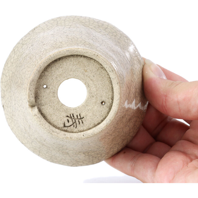 Maceta de bonsái redonda beige de Bonsai - 90 x 90 x 65 mm