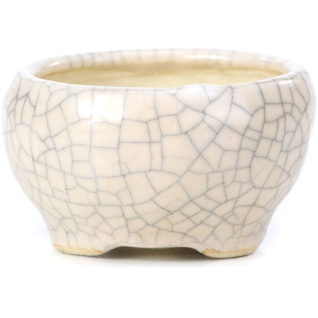 Vaso per bonsai rotondo beige di Bonsai - 60 x 60 x 35 mm