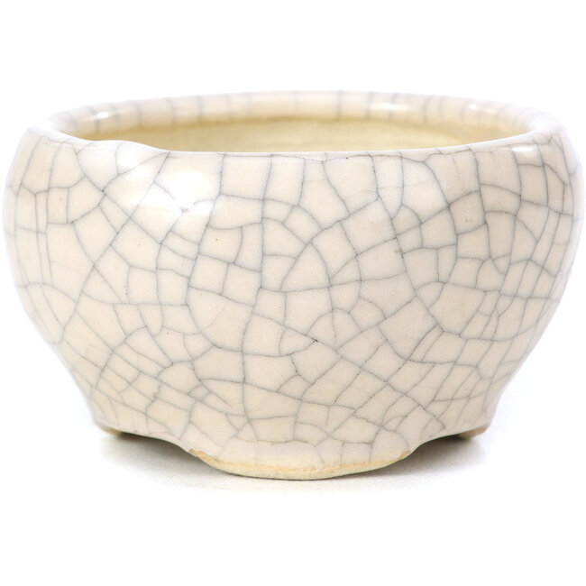 Ronde beige bonsaipot van Bonsai - 60 x 60 x 35 mm