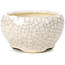 Pot à bonsaï rond beige par Bonsai - 60 x 60 x 35 mm
