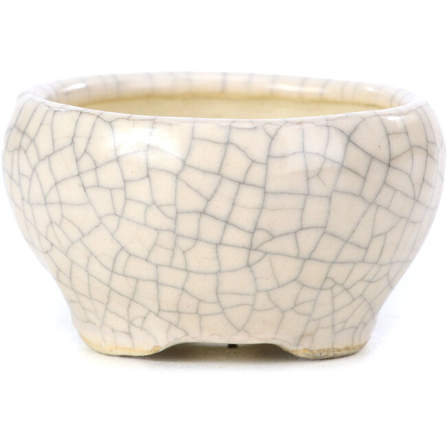 Runde beige Bonsaischale von Bonsai - 60 x 60 x 35 mm