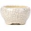 Pot à bonsaï rond beige par Bonsai - 60 x 60 x 35 mm