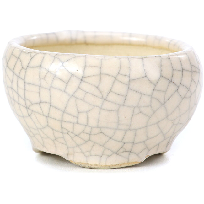 Vaso per bonsai rotondo beige di Bonsai - 60 x 60 x 35 mm