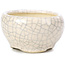 Pot à bonsaï rond beige par Bonsai - 60 x 60 x 35 mm