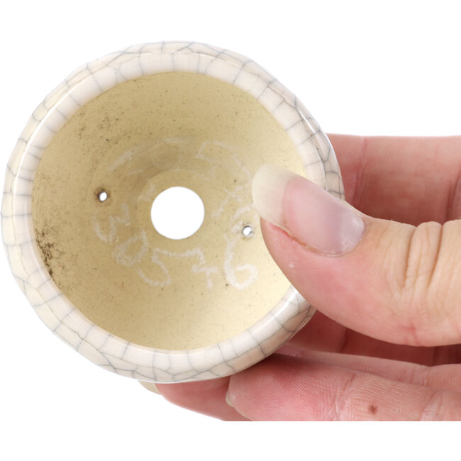 Vaso per bonsai rotondo beige di Bonsai - 60 x 60 x 35 mm