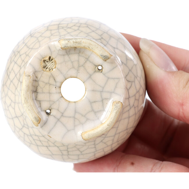 Pot à bonsaï rond beige par Bonsai - 60 x 60 x 35 mm