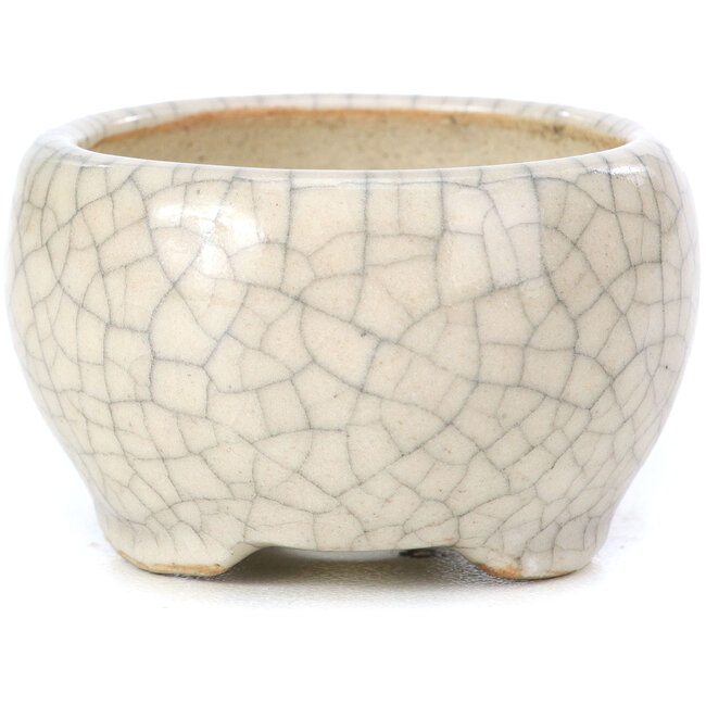 Runde beige Bonsaischale von Bonsai - 60 x 60 x 35 mm